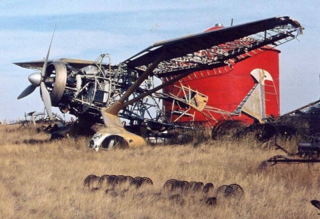 Lysander photo 3_lrg.jpg (1).jpg